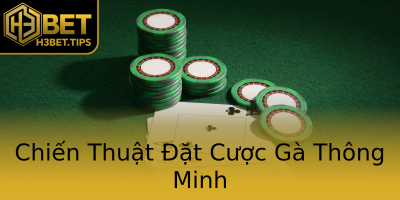 Chiến Thuật Đặt Cược Gà Thông Minh Chiến Thuật Đặt Cược Gà Thông Minh