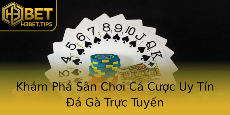 Khám Phá Sân Chơi Cá Cược Uy Tín Đá Gà Trực Tuyến Khám Phá Sân Chơi Cá Cược Uy Tín Đá Gà Trực Tuyến