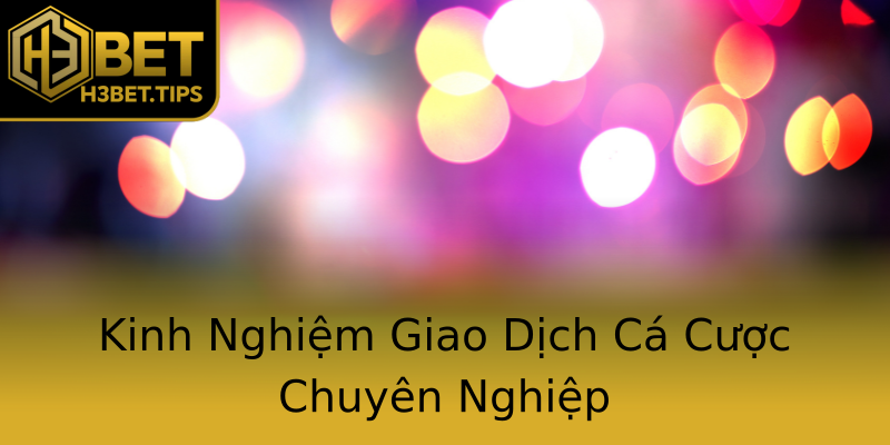 Kinh Nghiệm Giao Dịch Cá Cược Chuyên Nghiệp Kinh Nghiệm Giao Dịch Cá Cược Chuyên Nghiệp