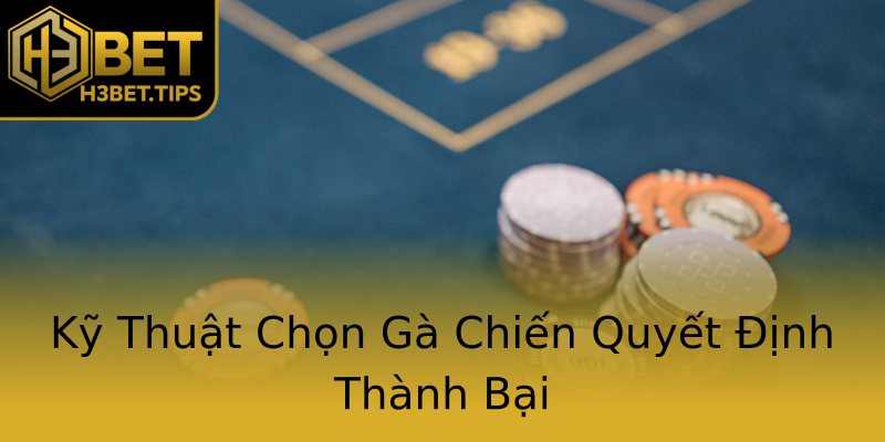 Kỹ Thuật Chọn Gà Chiến Quyết Định Thành Bại Kỹ Thuật Chọn Gà Chiến Quyết Định Thành Bại