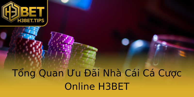Tổng Quan Ưu Đãi Nhà Cái Cá Cược Online H3BET Tổng Quan Ưu Đãi Nhà Cái Cá Cược Online H3BET