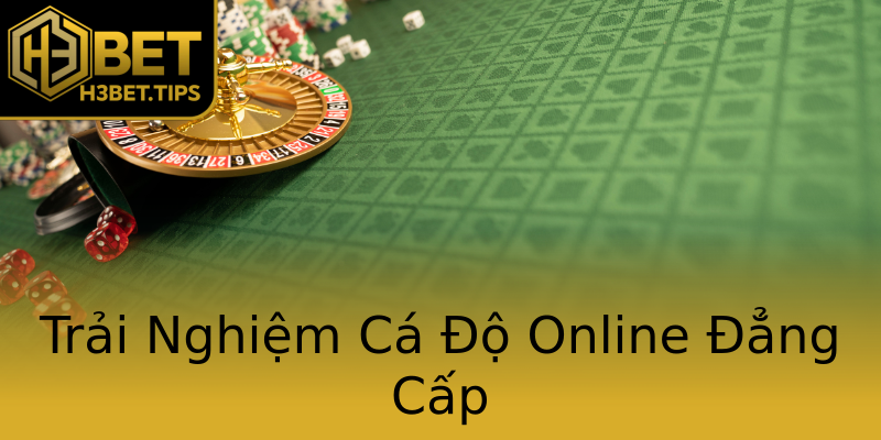 Trải Nghiệm Cá Độ Online Đẳng Cấp Trải Nghiệm Cá Độ Online Đẳng Cấp