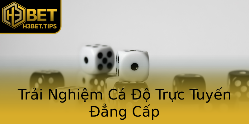 Trải Nghiệm Cá Độ Trực Tuyến Đẳng Cấp Trải Nghiệm Cá Độ Trực Tuyến Đẳng Cấp